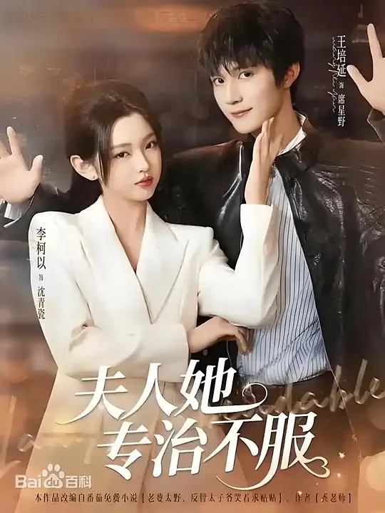 夫人她专治不服(全集)