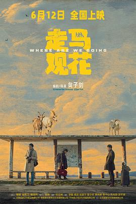 走马观花(全集)